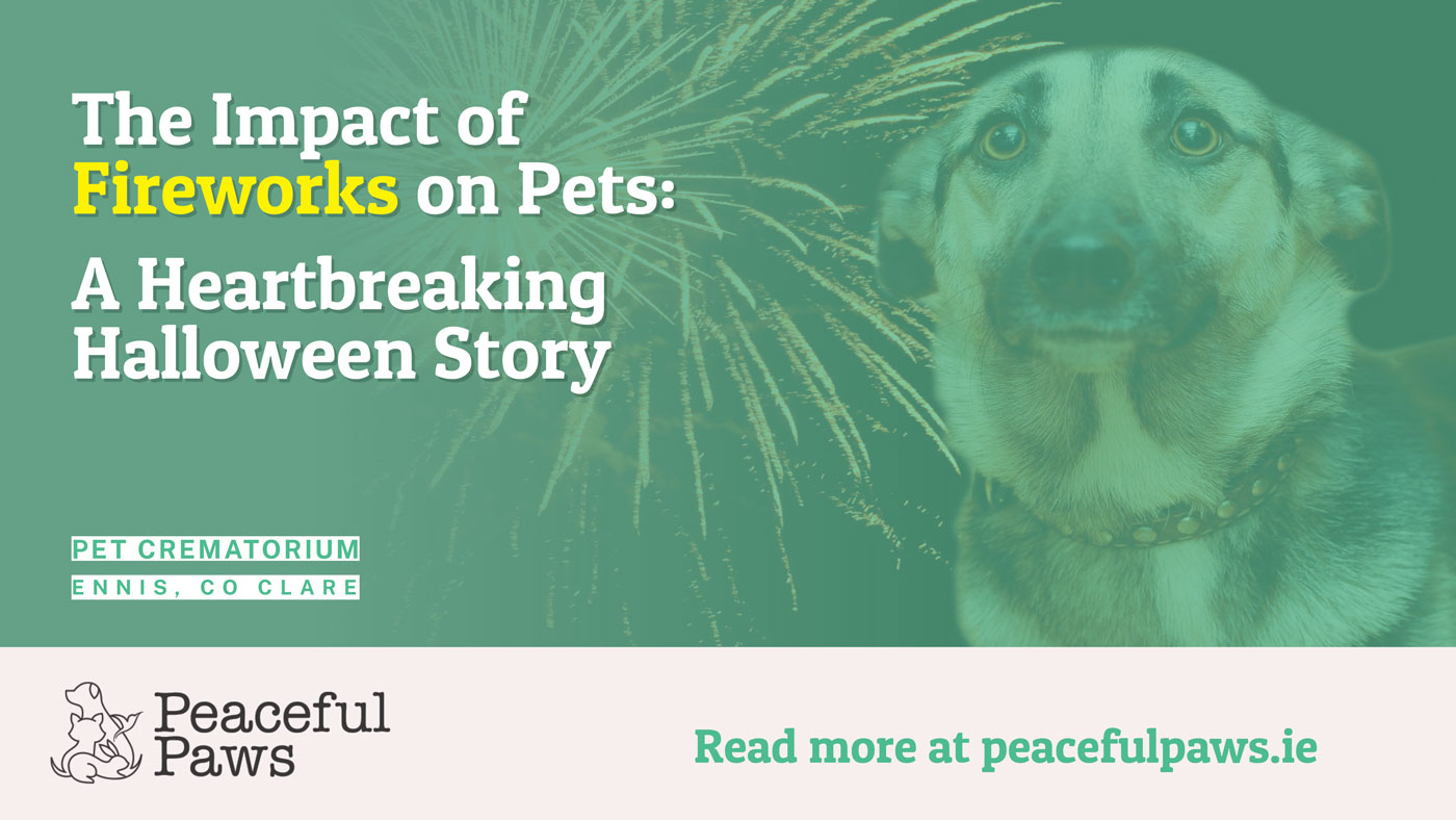 Peaceful Paws Pet Crematorium | The Impact of Fireworks on Pets: A Heartbreaking Halloween Story