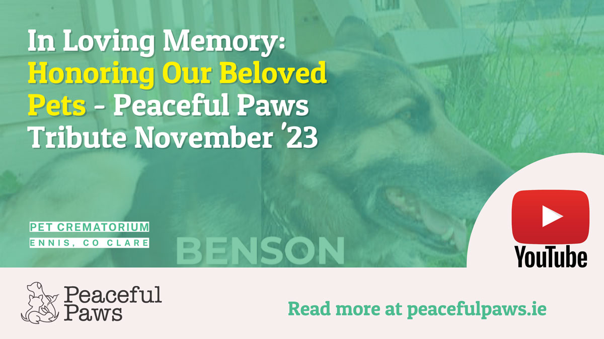 Peaceful Paws Pet Crematorium | Tribute November 2023