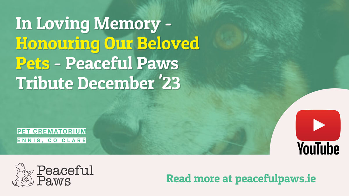 Peaceful Paws Pet Crematorium | Tribute December 2023